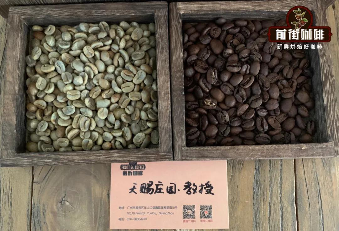 Natural processing coffee beds at Finca Un Regalo de Dios