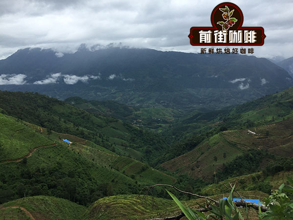 Yunnan high altitude coffee Yunnan high altitude coffee