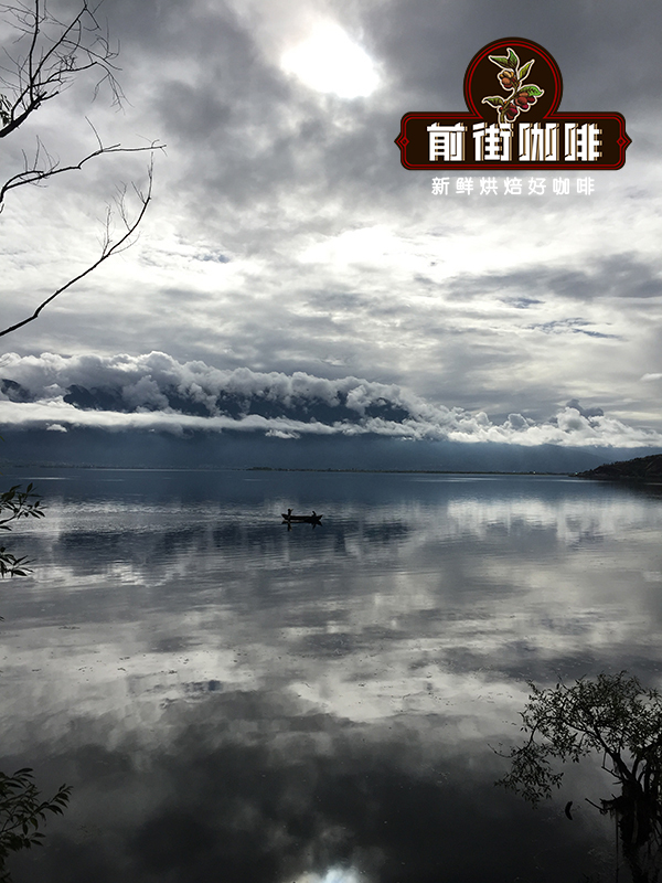 Yunnan coffee producing regions map Yunnan coffee producing regions map