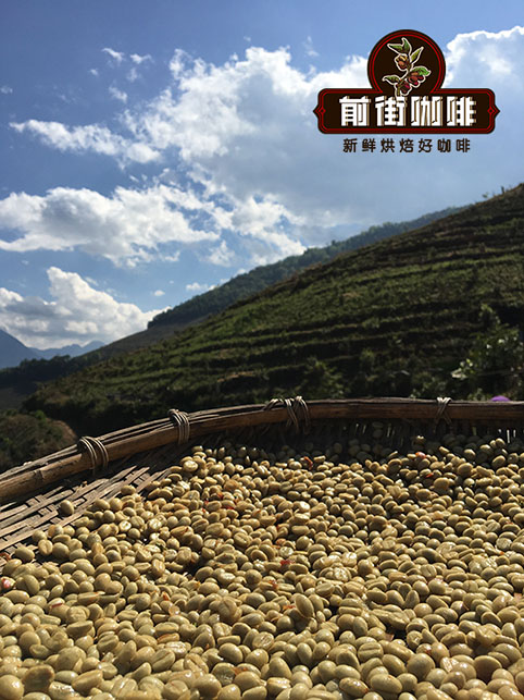 Coffee processing comparison Coffee processing comparison