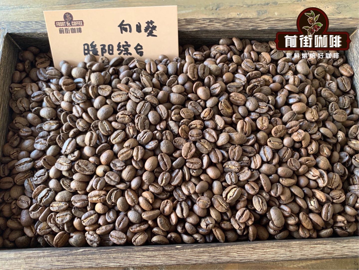 Sunflower Warmth Blend coffee beans