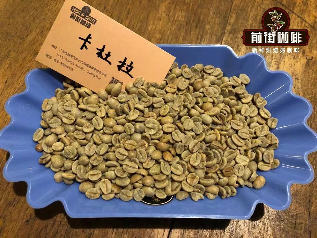 Caturra vs Catuai Coffee Beans: Understanding the Variety Differences and Flavor Profile