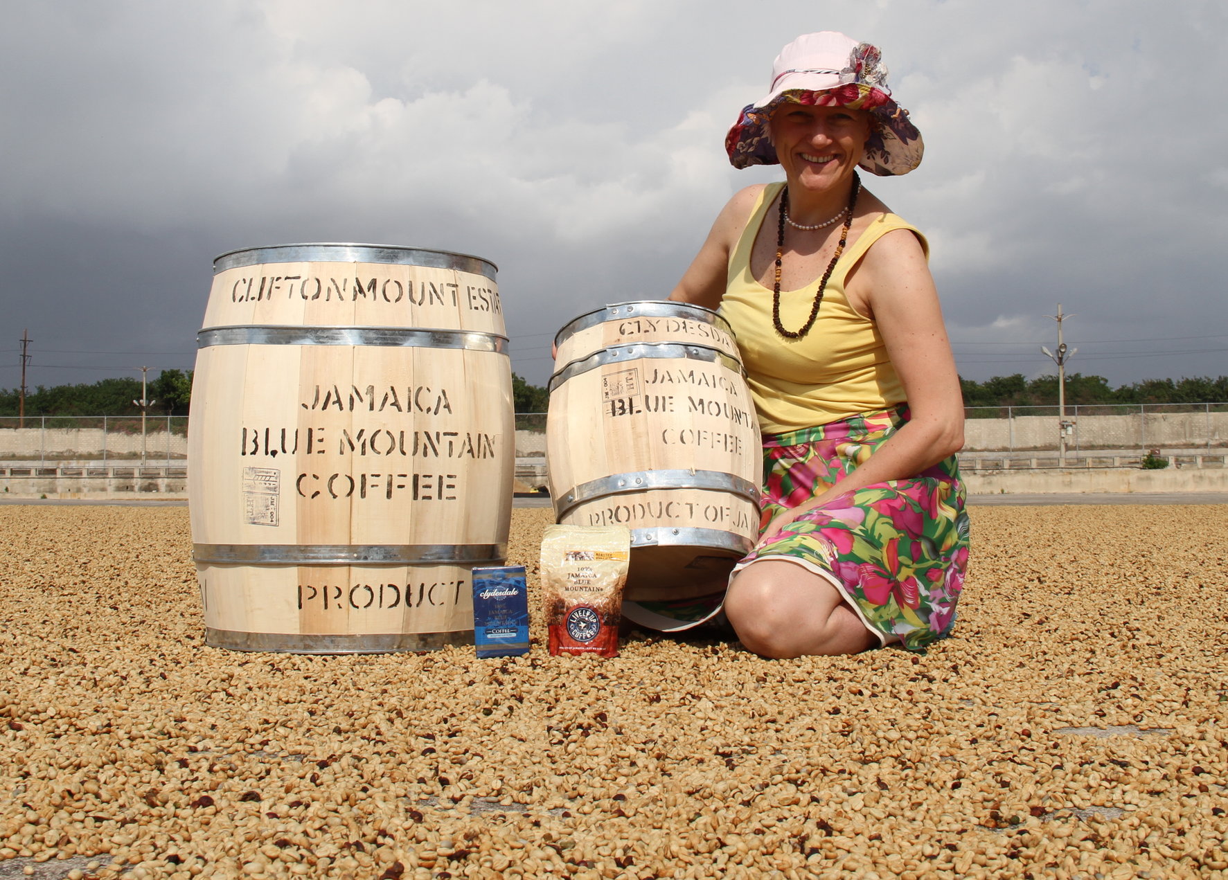 FrontStreet Coffee Blue Mountain Processing