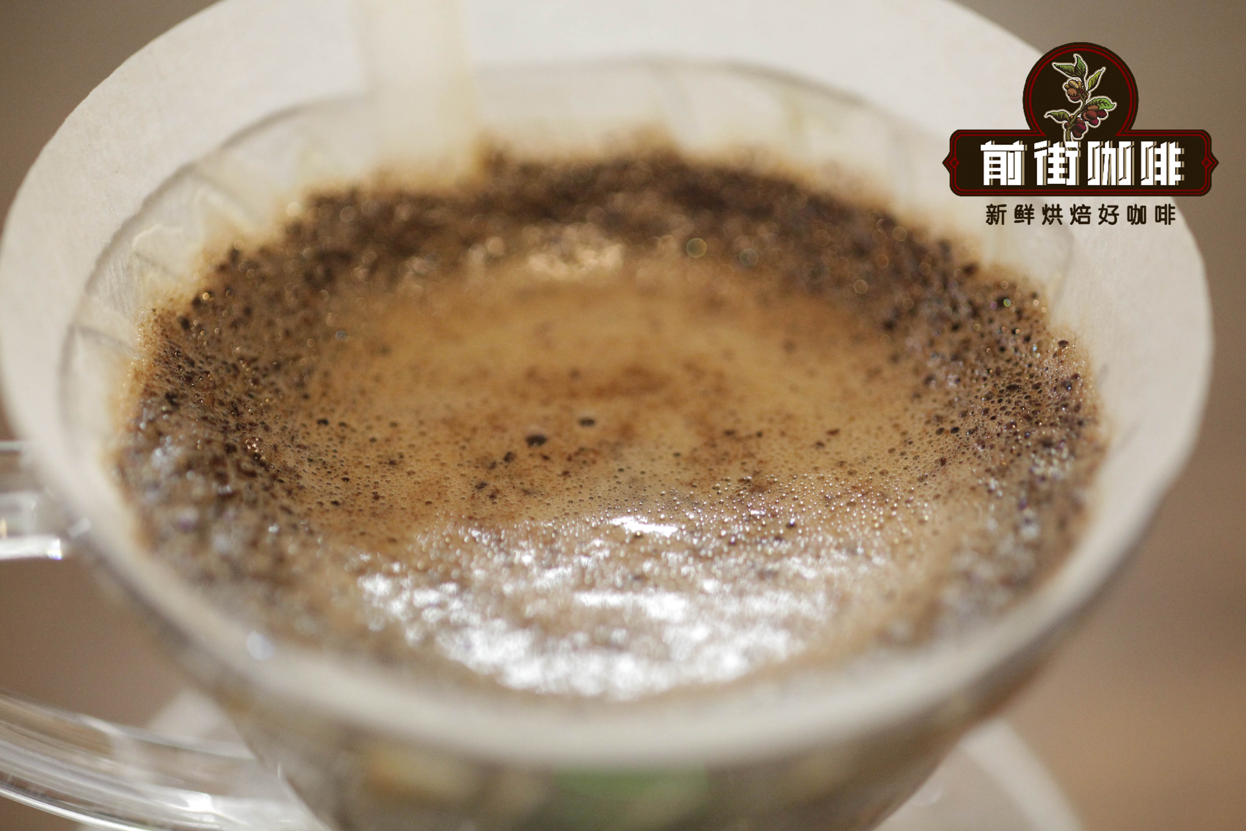 Comparison of coffee foam in fresh vs stale beans