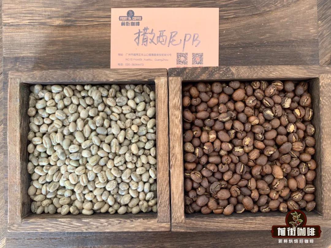 FrontStreet Coffee Kenya Thathini Estate PB Coffee Beans