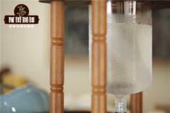 What Coffee Beans are Used for Cold Drip Coffee? What is the Taste and Flavor Profile of Cold Drip Coffee? Is Cold Drip Bitter?