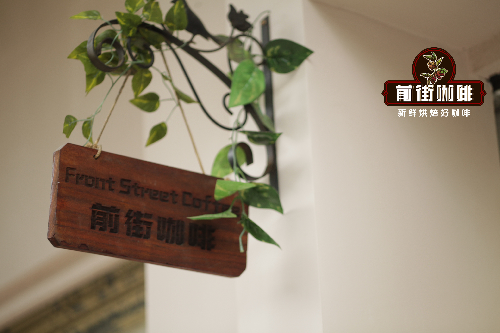 How to Froth Milk? What's the Ideal Milk Temperature? Cappuccino Making Techniques and Flavor Characteristics