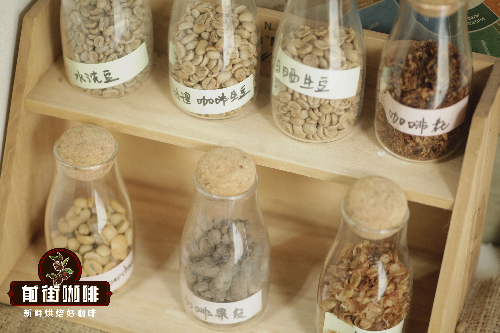 Introduction to Coffee Bean Varieties and Flavor Characteristics - A Comparison of Arabica Specialty Coffee Bean Varieties and Tastes