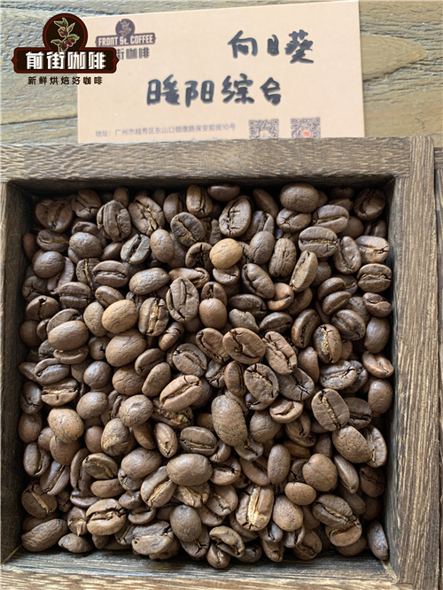 Sunflower Warm Sun Blend coffee beans