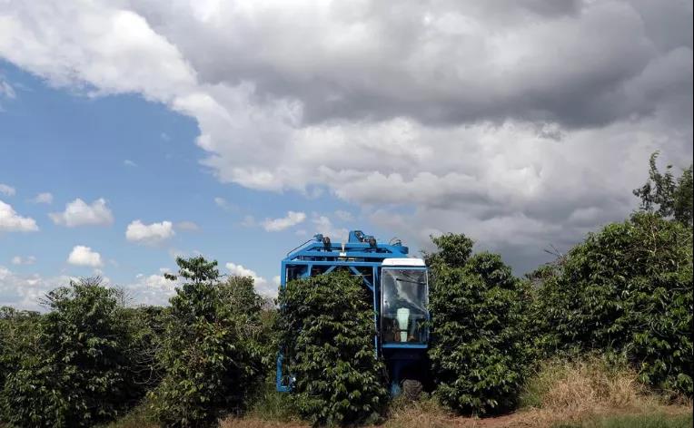 Brazilian coffee production regions map