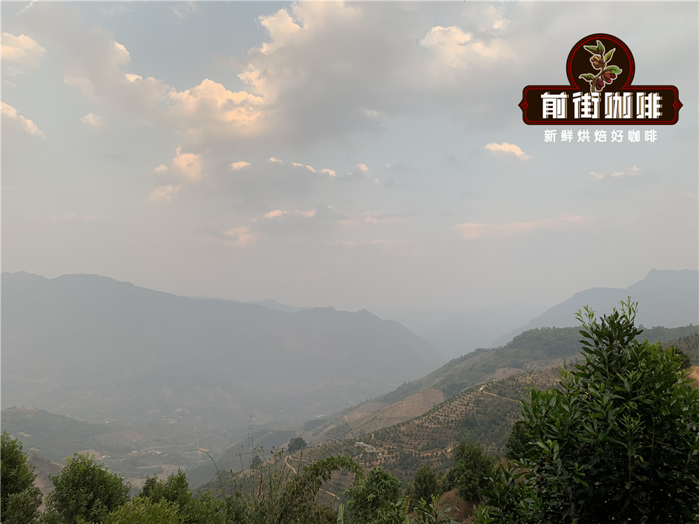 Mountain landscape for coffee cultivation