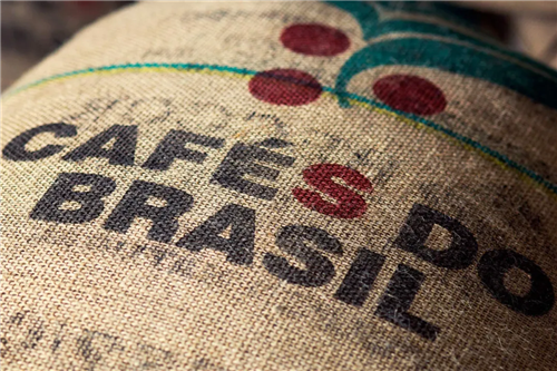 Brazil Coffee Update: Institutions Predict Brazil's 2021 Coffee Production at 52.01 Million Bags