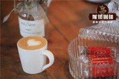 What coffee beans are used in Piccolo Latte? How to make a Piccolo Latte?