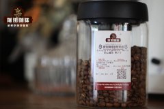 Pour-Over Coffee Brewing Guide: Detailed Steps, Parameters, Grind Size, and Water Ratio