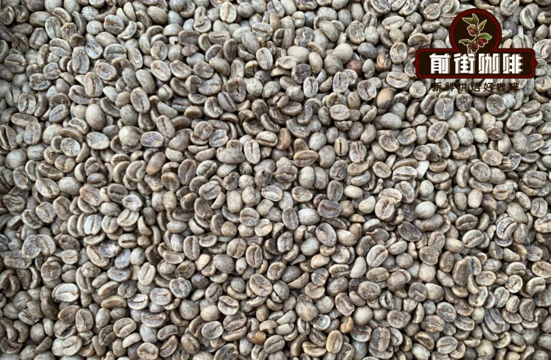 Introduction to Starbucks Decaf Coffee Flavor and Differences Between Decaf and Regular Coffee