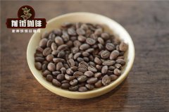 Are Wrinkled Coffee Beans Defective? What Causes Oily Surfaces on Coffee Beans?