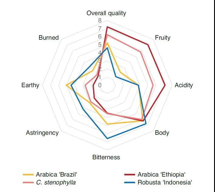 Coffee bean comparison