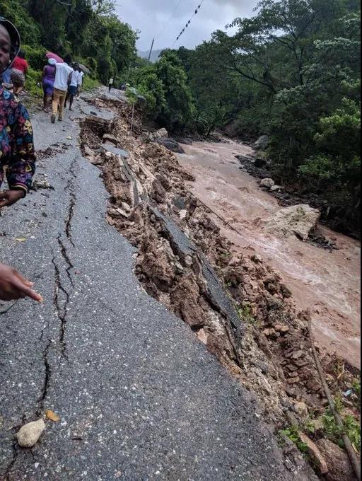 Damage from Tropical Storm Zeta in Jamaica's coffee region