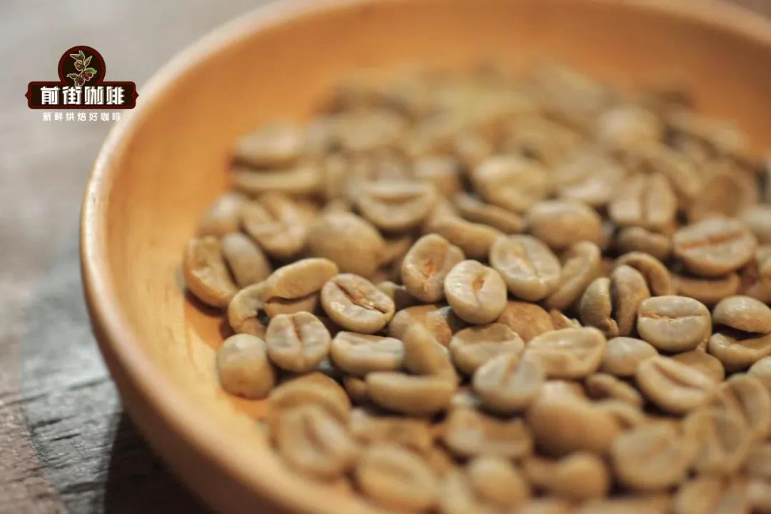 Coffee bean varieties comparison