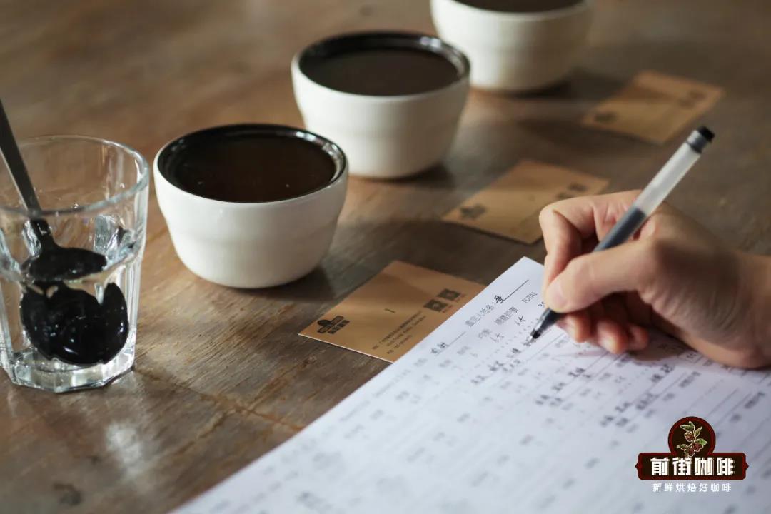 Coffee cupping session