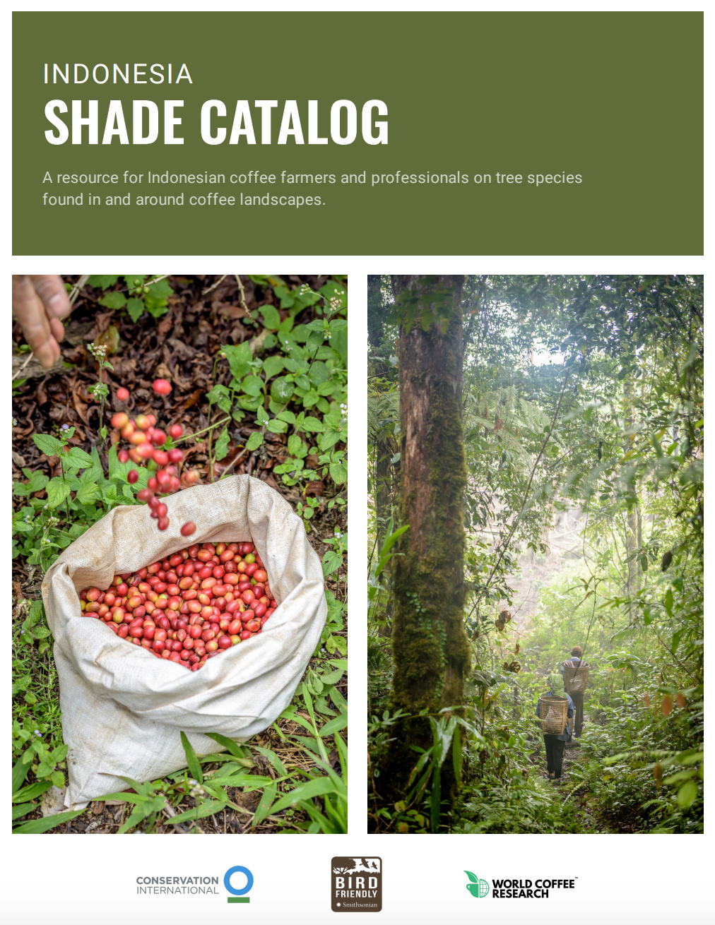 The Shade Catalog documentation showing Indonesian coffee varieties
