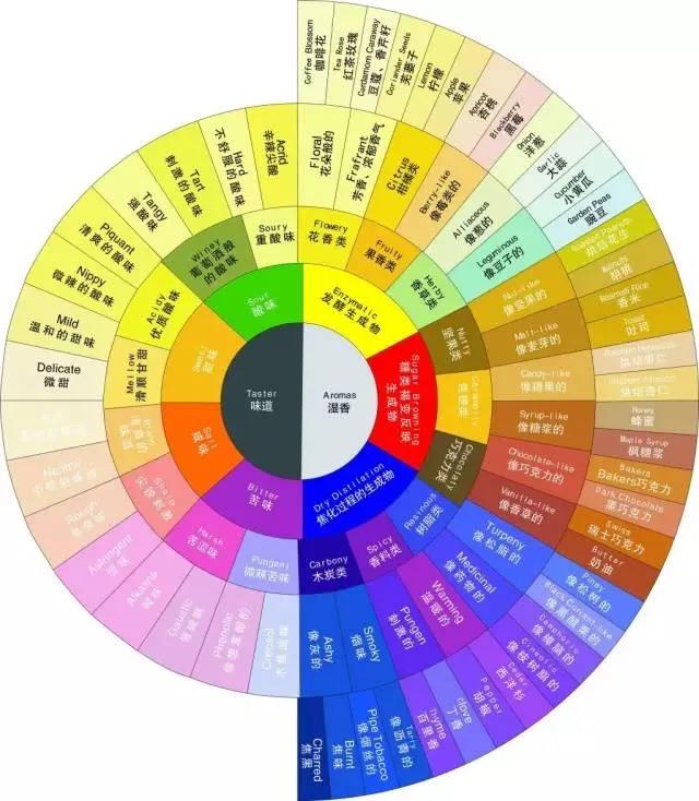 Positive flavor wheel showing taste and aroma categories