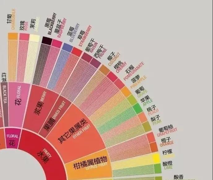 New coffee flavor wheel with detailed flavor categories