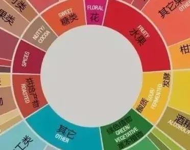 Coffee flavor categories and relationships