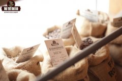 Which Drip Coffee Bag Brand Tastes Best? Detailed Tutorial on Correct Brewing Methods for Drip Black Coffee