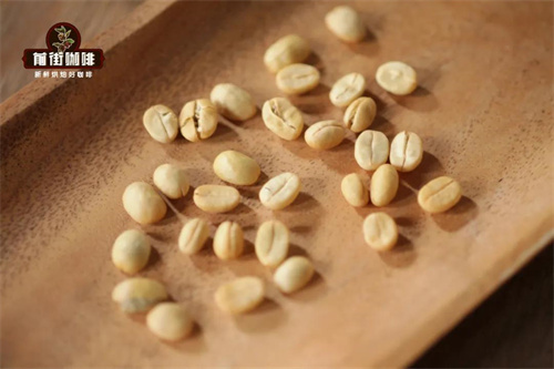 Coffee parchment layer