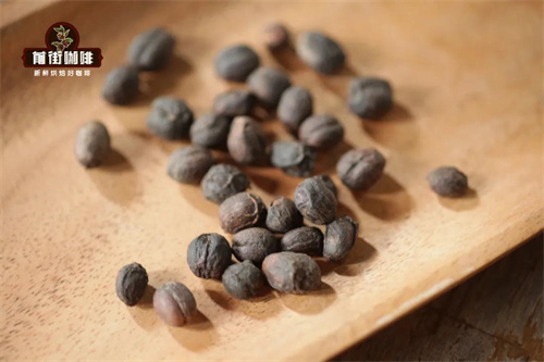 Coffee exocarp showing color change from green to red