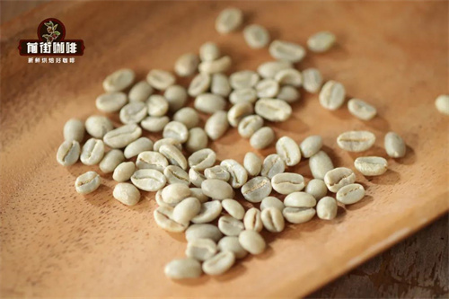 Green coffee bean composition diagram