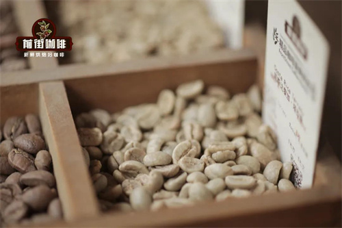 Chlorogenic acid molecular structure