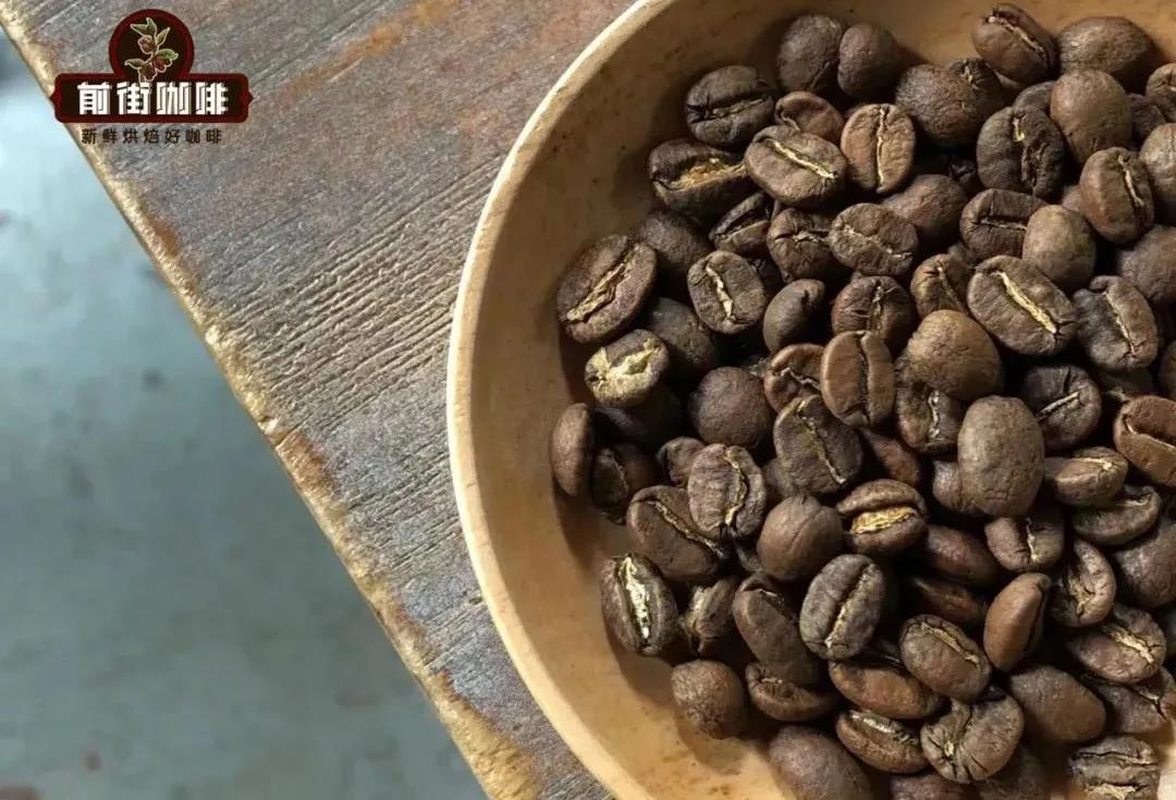 Tropical rainforest environment showing high humidity conditions