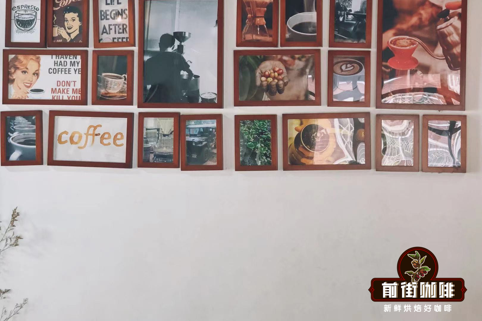 Catimor Coffee Bean Characteristics and Flavor Description - Yunnan Small Bean Catimor Coffee Story, Variety Introduction, and Quality Level