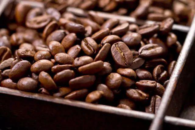 Coffee farmers in Sidamo region sorting beans