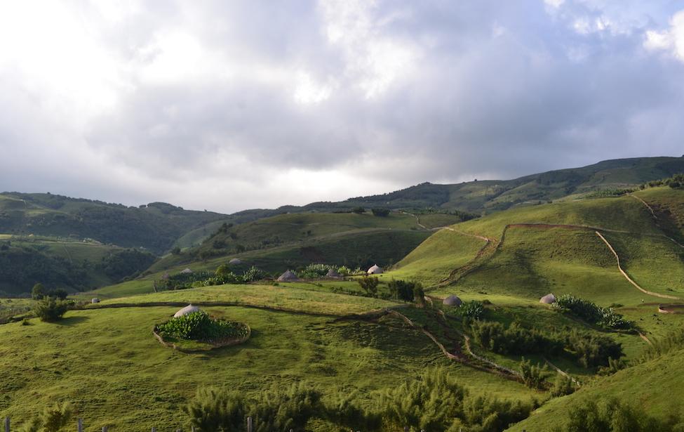 Ethiopian coffee landscape