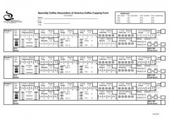 What are the Differences Between Cup of Excellence (COE) Cupping Forms and SCAA Coffee Cupping Forms?