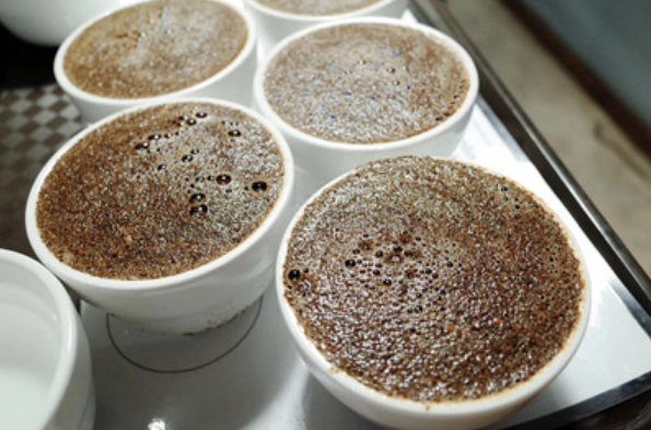SCAA Cupping Detailed Scoring Categories