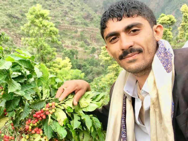Yirgacheffe coffee region landscape
