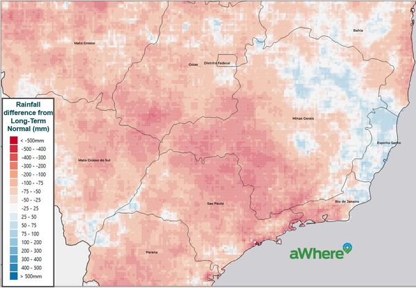 Coffee plantations in Brazil affected by drought conditions