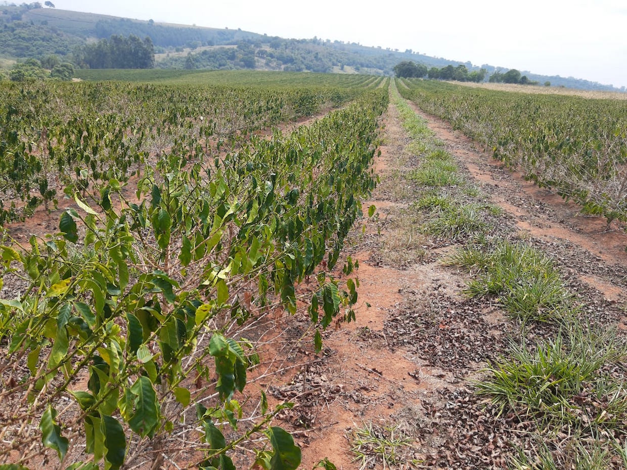 Dry reservoir and irrigation systems in Brazilian agricultural areas