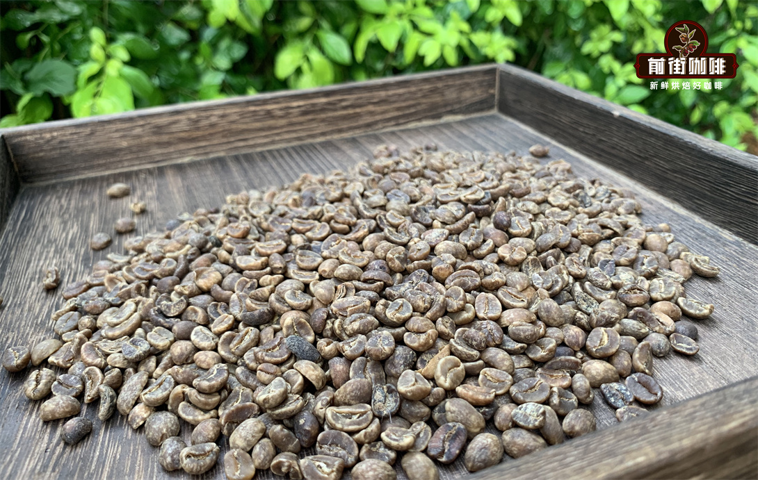The Story and Processing Methods of Decaf Coffee Beans - Flavor Characteristics, Pros and Cons of Decaf Coffee
