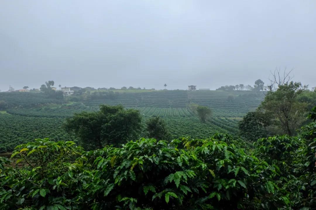 Costa Rica coffee landscape showing volcanic soil and mountainous terrain