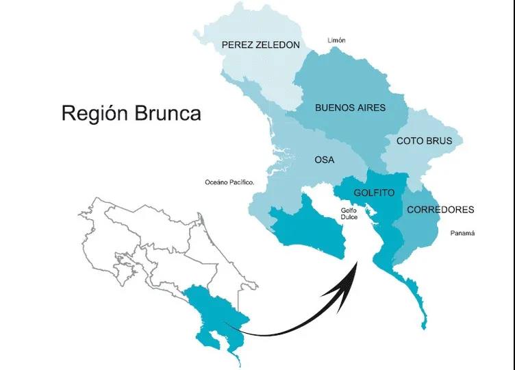 Aerial view of Brunca coffee growing region with mountainous landscape