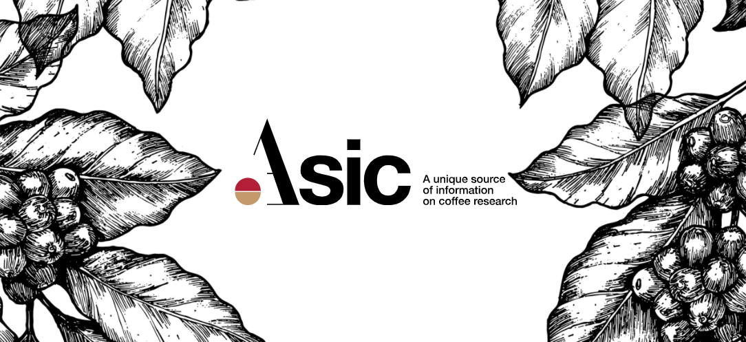 Chart showing caffeine content percentage in different roast levels