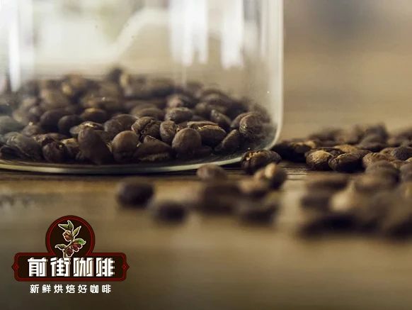 Coffee plants growing at high altitude