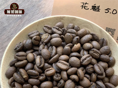 V60 brewing setup for coffee experiment