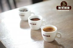 Is SOE Coffee Good and What Are Its Characteristics? Why Are SOE Espresso Beans Light Roasted and How to Make Them?