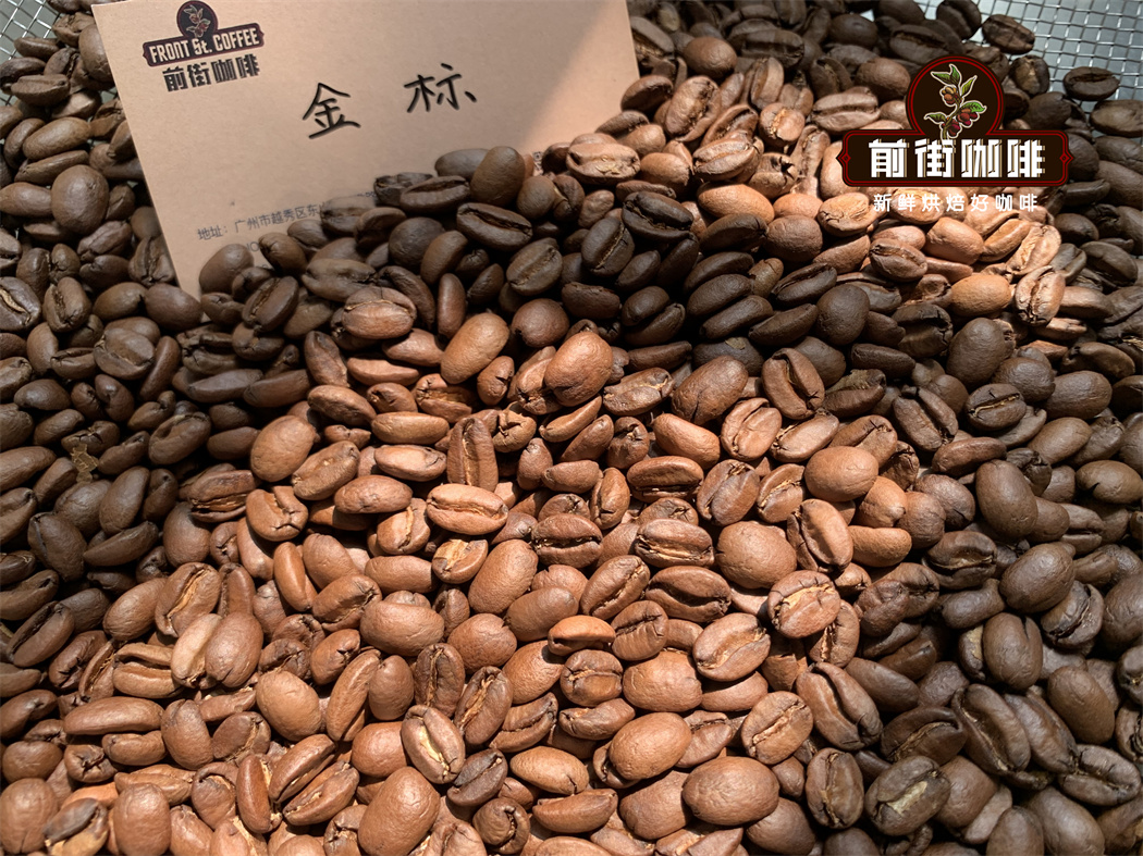 Gesha Village Gold Label Green Beans